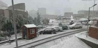 Fenomen meteo rar în Mongolia: zăpadă și răcire bruscă a vremii în iunie