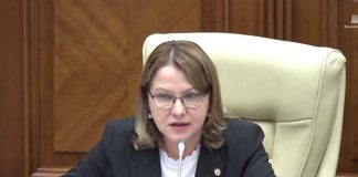 Deputata MAN avertizează asupra posibilei diminuări a concediilor în educație