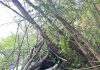 Tragedie rutieră în Criuleni: mașină răsturnată după pierderea controlului, un mort și patru răniți