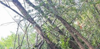 Tragedie rutieră în Criuleni: mașină răsturnată după pierderea controlului, un mort și patru răniți