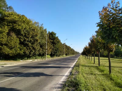 s5b8a61dae8293
