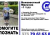 Un copil de trei ani, găsit singur pe o stradă din sectorul Botanica. Poliția caută familia