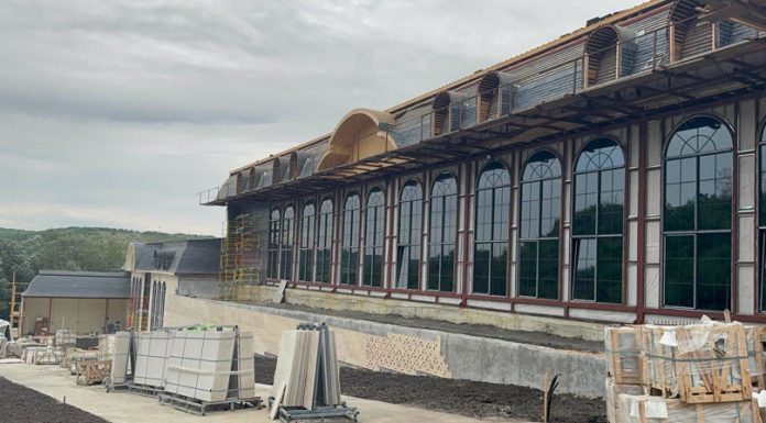 Percheziții în dosarul construcțiilor ilegale din pădurea „Doina”: prejudiciul depășește 4 milioane de lei