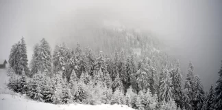 Tragedie în Italia: doi alpiniști români, găsiți fără viață la peste 3.500 de metri altitudine