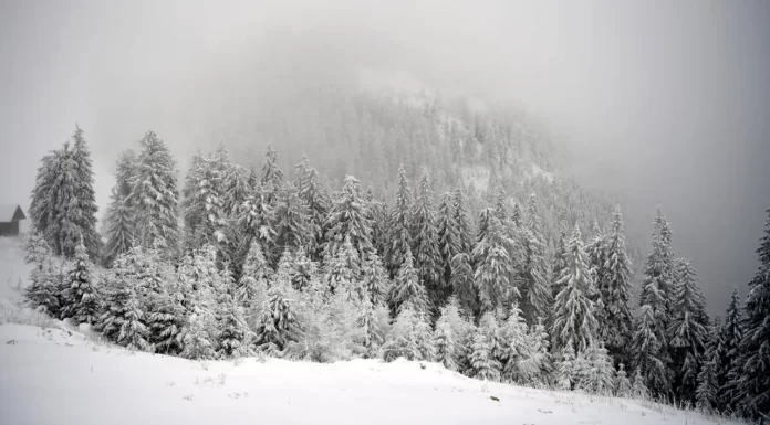 Tragedie în Italia: doi alpiniști români, găsiți fără viață la peste 3.500 de metri altitudine