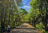 Noi investiții în Parcul „Valea Trandafirilor”: acces mai ușor pentru persoanele cu mobilitate redusă și zonă de belvedere pe lac