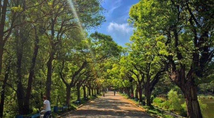 Noi investiții în Parcul „Valea Trandafirilor”: acces mai ușor pentru persoanele cu mobilitate redusă și zonă de belvedere pe lac