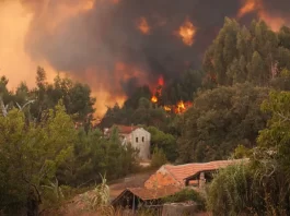 Alertă pentru moldovenii care merg în Italia: risc ridicat de incendii de vegetație în Sardinia și Sicilia
