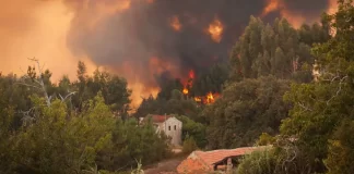 Alertă pentru moldovenii care merg în Italia: risc ridicat de incendii de vegetație în Sardinia și Sicilia