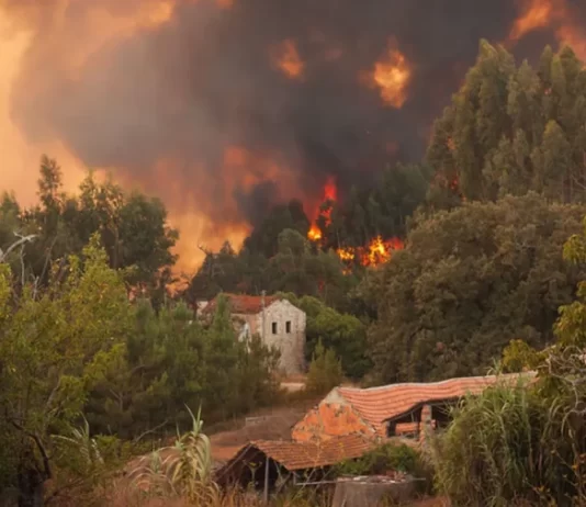 Alertă pentru moldovenii care merg în Italia: risc ridicat de incendii de vegetație în Sardinia și Sicilia