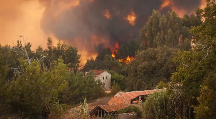 Alertă pentru moldovenii care merg în Italia: risc ridicat de incendii de vegetație în Sardinia și Sicilia