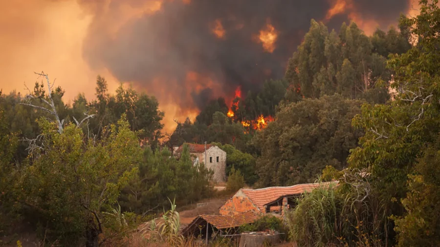 incendii-italia-900x505