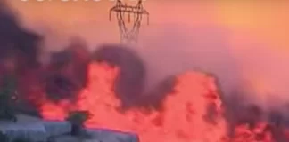 Dezastru în sudul Franței: incendii violente de vegetație distrug zone întinse, iar vântul puternic complică intervențiile pompierilor