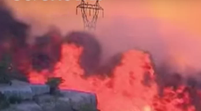 Dezastru în sudul Franței: incendii violente de vegetație distrug zone întinse, iar vântul puternic complică intervențiile pompierilor