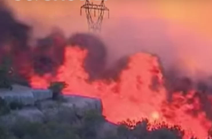 Dezastru în sudul Franței: incendii violente de vegetație distrug zone întinse, iar vântul puternic complică intervențiile pompierilor