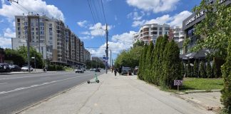 Modernizarea bulevardului Alba Iulia continuă: Sunt reabilitate trotuarele din zona Onisifor Ghibu și Liviu Deleanu