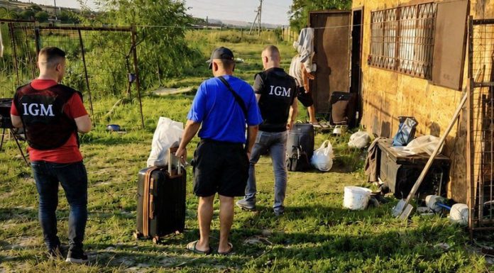 Cinci cetățeni ai Uzbekistanului, plasați în custodie publică după ce au muncit ilegal în Moldova
