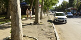 Lucrările de pe strada Ion Creangă continuă: Primăria respinge acuzațiile privind defrișările