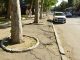 Lucrările de pe strada Ion Creangă continuă: Primăria respinge acuzațiile privind defrișările