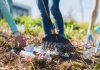 Tânăr condamnat la 135 de ore de muncă în folosul comunității pentru huliganism