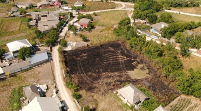 Alertă la Edineț: Peste 100 de incendii de vegetație într-o săptămână. Un localnic, rănit grav de flăcări