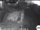 Sunet puternic, asemănător unei explozii, în apropiere de Brănești. Ce a găsit Poliția