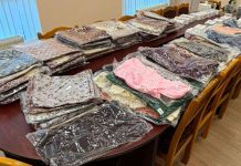 Compartiment ascuns în podeaua mașinii: ce au descoperit vameșii la Tudora