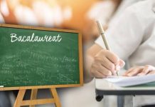 Meditații gratuite pentru elevii care se pregătesc de Bacalaureat: ce program este propus