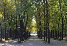 Un nou proiect de infrastructură în Chișinău. Ce schimbări sunt prevăzute pe strada Gheorghe Asachi