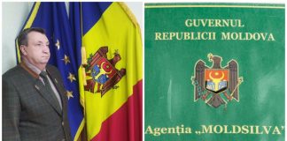 Schimbare la conducerea „Moldsilva”: Nicolae Munteanu a fost demis