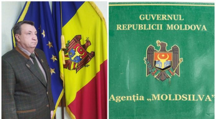 Schimbare la conducerea „Moldsilva”: Nicolae Munteanu a fost demis