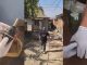 Percheziții în raionul Cahul: un bărbat de 54 de ani, cercetat după ce în locuință au fost găsite droguri și un obiect asemănător unei grenade