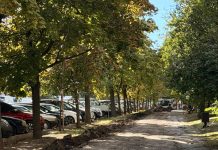 Un nou proiect de amenajare la Ciocana: Au început lucrările pe strada Petru Zadnipru