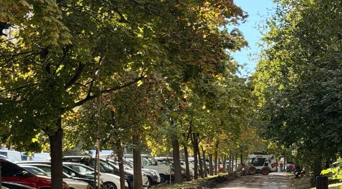 Un nou proiect de amenajare la Ciocana: Au început lucrările pe strada Petru Zadnipru