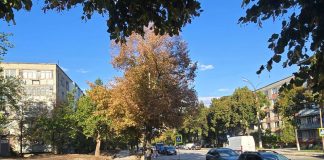Trotuar modern și parcare publică pe strada Ion Creangă. Ce lucrări au fost finalizate