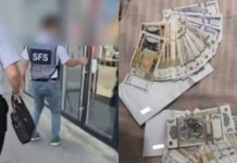 Schemă de evaziune fiscală de peste 17 milioane de lei: Administratorul și contabilul unei firme, reținuți