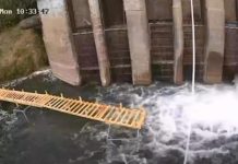 Risc pentru alimentarea cu apă a Capitalei? Diana Tacu anunță că stația de pompare funcționează la limită