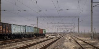 Ucraina caută rute alternative pentru exportul cerealelor. Moldova ar putea deveni un coridor strategic