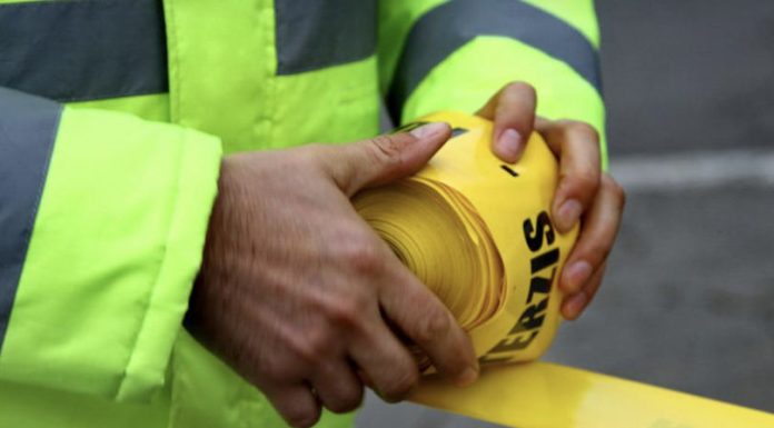 Tragedie la Vulcănești: Un bărbat de 58 de ani ar fi fost sfâșiat de un câine Alabai