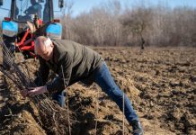Moldsilva: Niciun ban din creditul BEI de 200 de milioane de euro nu a fost folosit pentru plantări