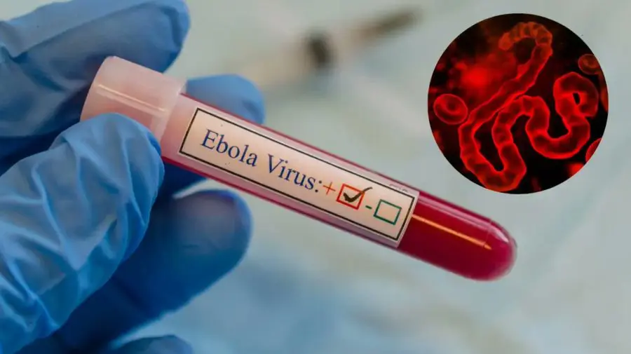 ebola-900x505.jpg