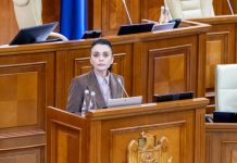 Unde au dispărut banii statului? Elena Grițco ia la bani mărunți filiala Energocom din România