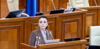 Unde au dispărut banii statului? Elena Grițco ia la bani mărunți filiala Energocom din România