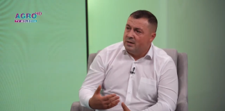 Cum am ajuns să importăm propriul ulei? Serghei Ivanov arată dezastrul din agricultura Moldovei