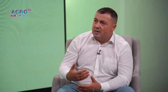 Cum am ajuns să importăm propriul ulei? Serghei Ivanov arată dezastrul din agricultura Moldovei